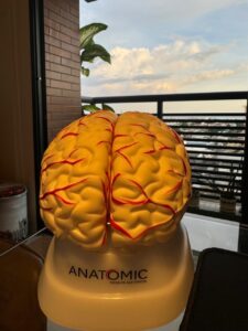 WhatsApp Image 2025-11-17 at 15.04.09 (2)